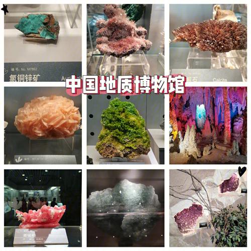 中国地质博物馆-中国地质博物馆在哪里